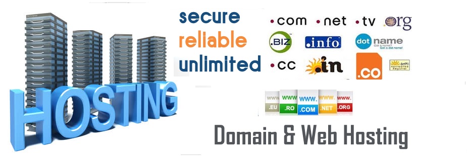 Web Hosting Options